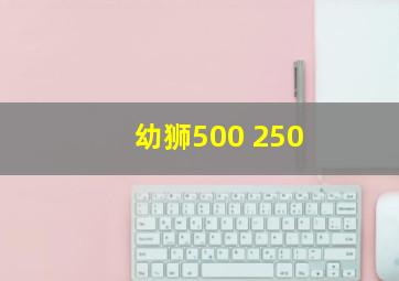 幼狮500 250